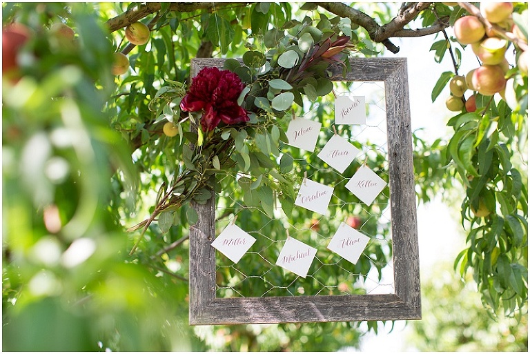 eastern-shore-maryland-wedding-photography-peach-orchard-photo_0001