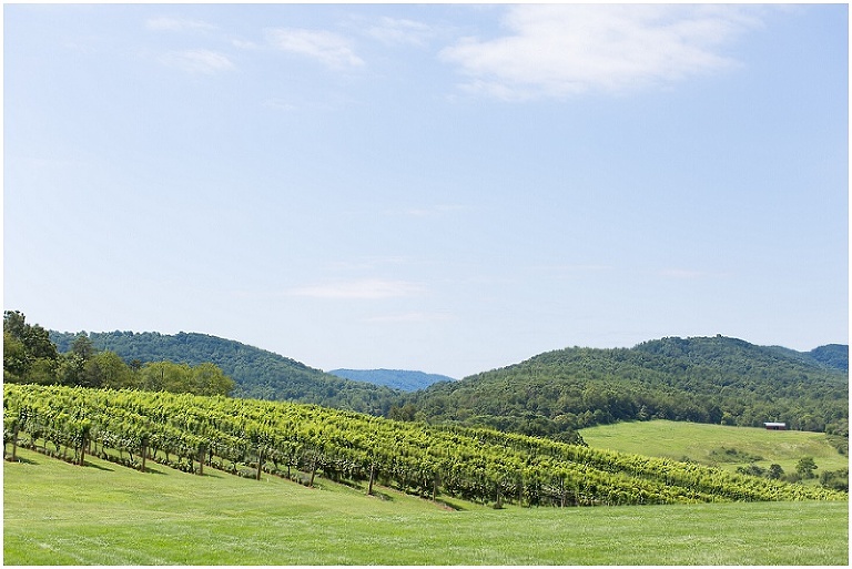 charlottesville-virginia-winery-tour-photography-photo_0001