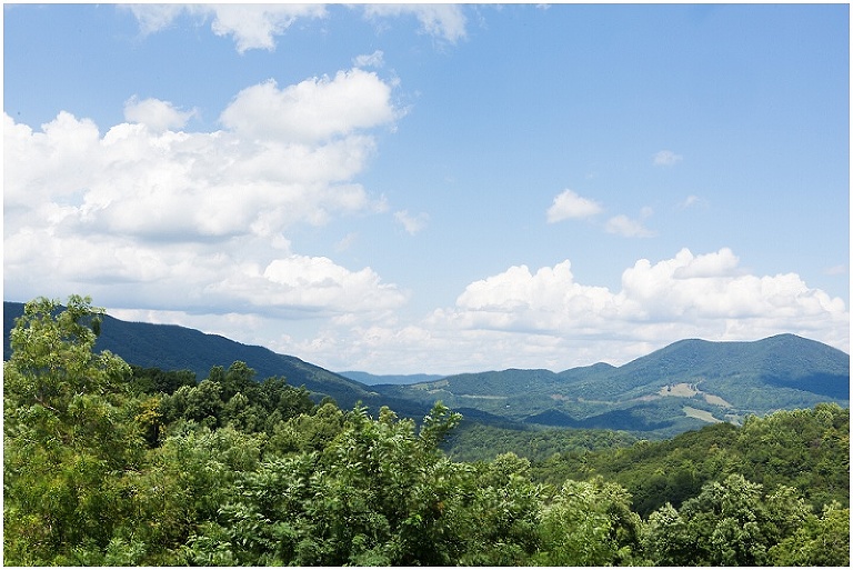 house-mountain-inn-lexington-virginia-wedding-photography-photo_0014